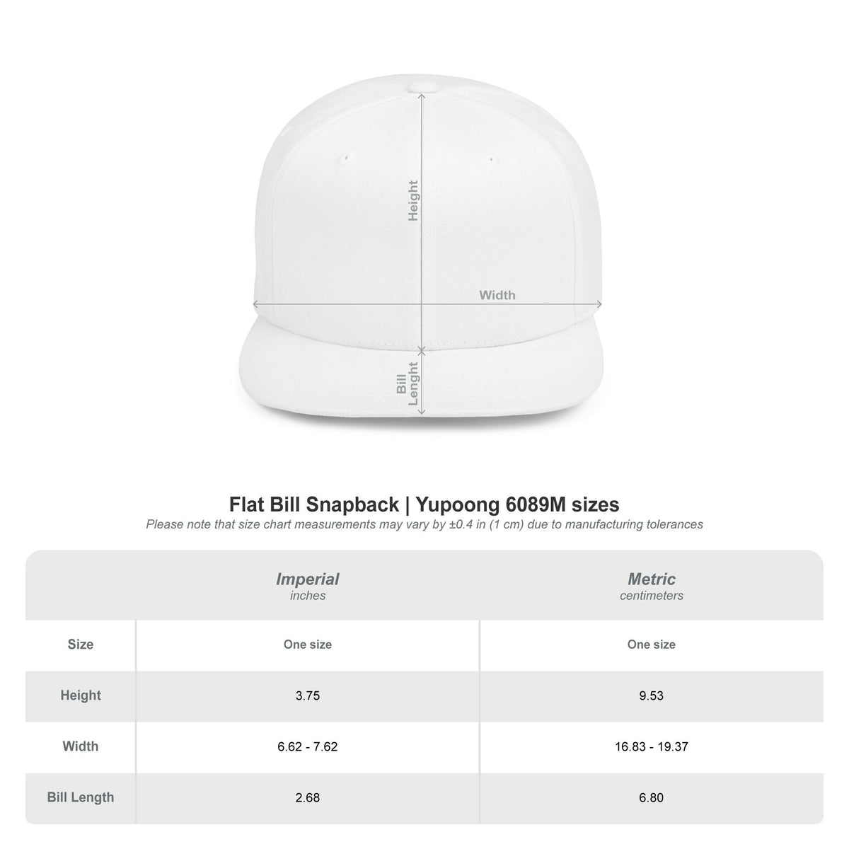 Stray Flight SF Snapback Hat